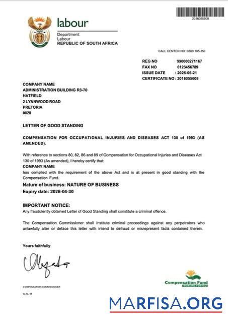 Downloadable South Africa letter of good standing Word and PDF template